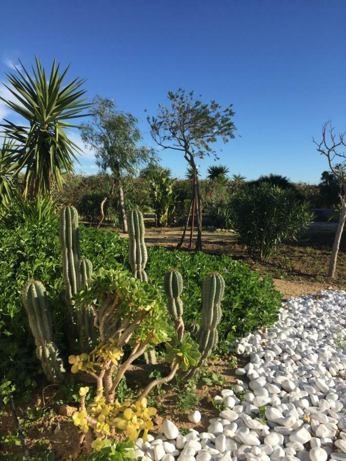 Finca Du Ressourcement Higueron Vejer de la Frontera Exterior photo