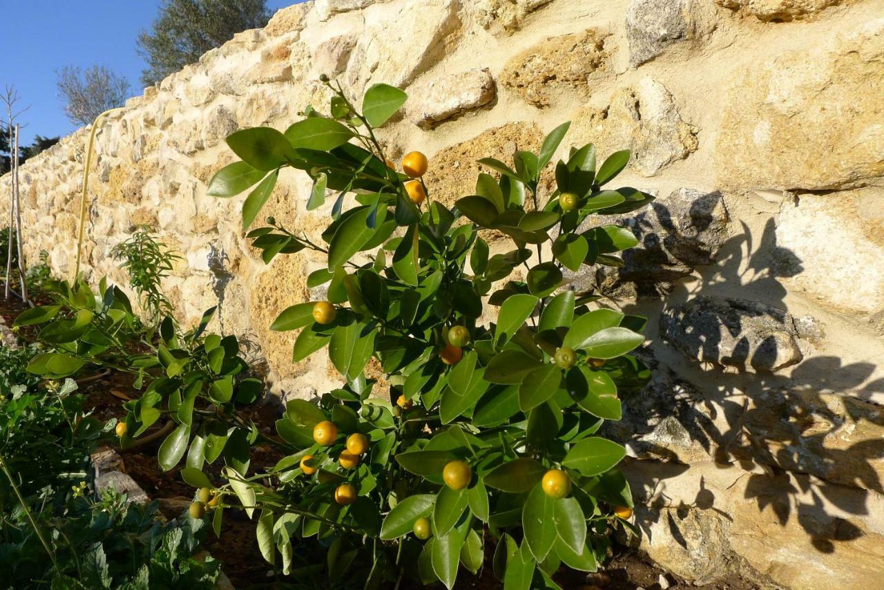 Finca Du Ressourcement Higueron Vejer de la Frontera Exterior photo